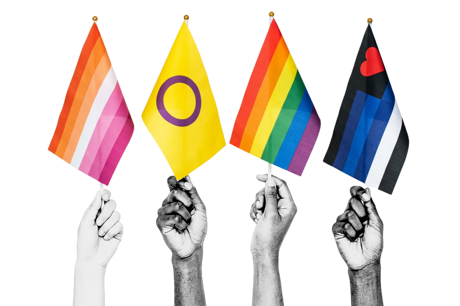 A Guide to LGBTQ+ Pride Flags